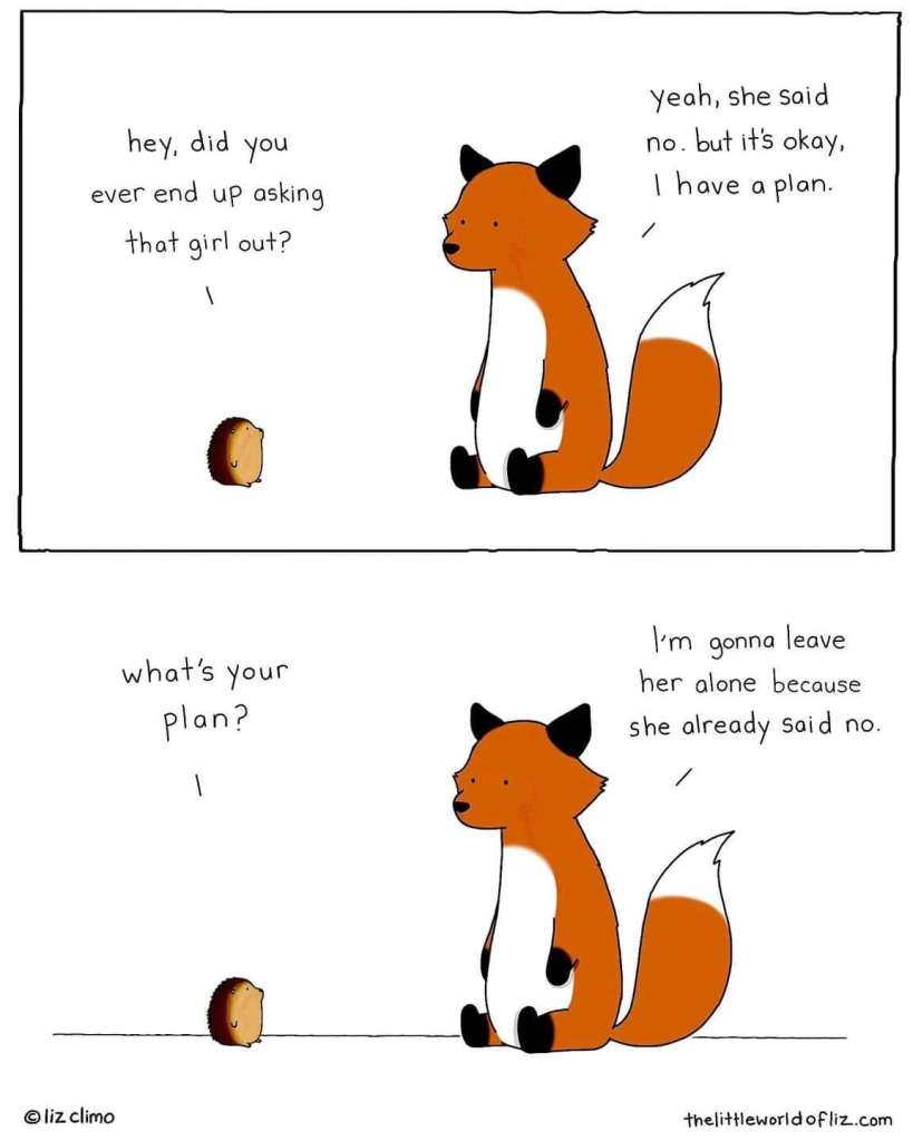 Top panel: Hedghog asks "Hey, did you ever end up asking that girl out?"
Fox replies"Yeah, she said no. But it's okay. I have a plan."
Bottom panel: Hedgehog says "What's your plan?"
Fox replies "I'm gonna leave her alone because she already said no."
Comic by liz climo, go to thelittleworldofliz.com